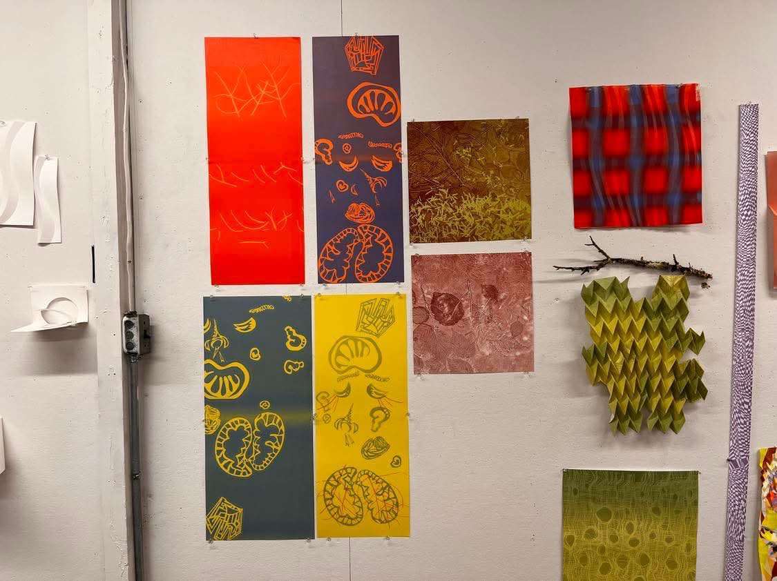 Several colorful lithography prints installed together